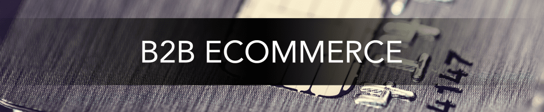 B2B Enterprise Ecommerce for the Next Decade [White Paper]